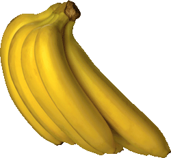Bananas