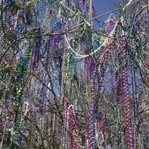 Mardi Gras