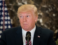 Trump 7